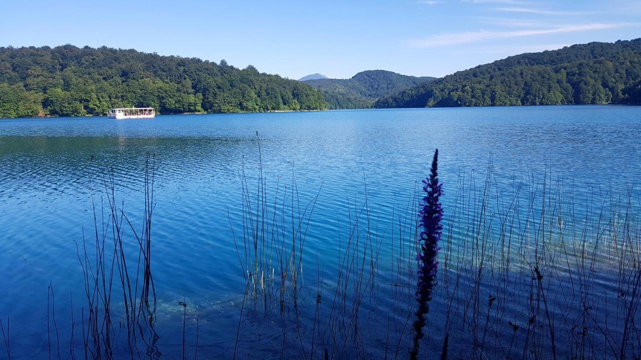 B&B Plitvice Lakes Villa Prica プリトビッチェ・セロ エクステリア 写真