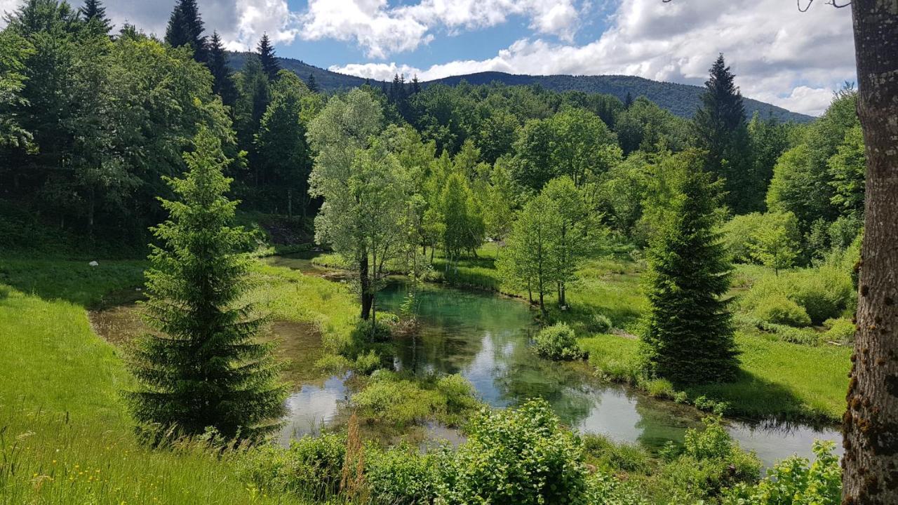 B&B Plitvice Lakes Villa Prica プリトビッチェ・セロ エクステリア 写真