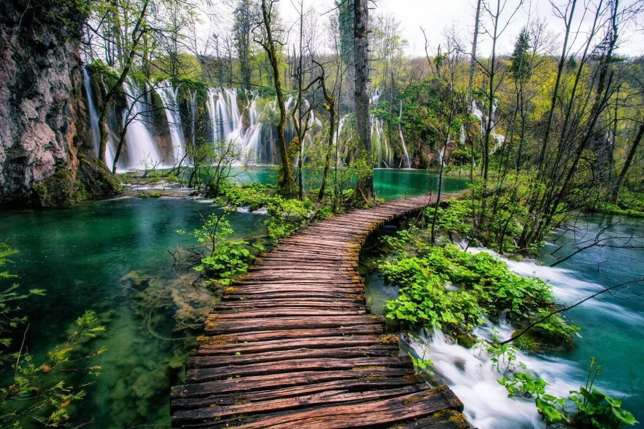 B&B Plitvice Lakes Villa Prica プリトビッチェ・セロ エクステリア 写真