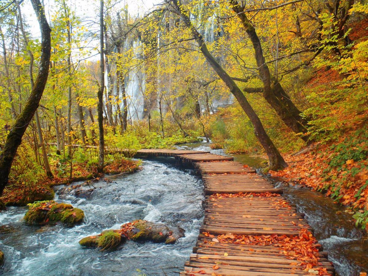 B&B Plitvice Lakes Villa Prica プリトビッチェ・セロ エクステリア 写真